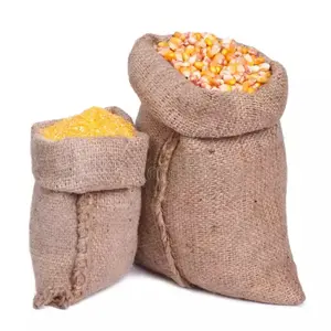 最佳质量热卖有机黄白甜玉米种子供应商黄玉米黄玉米