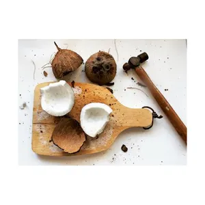 Noix de coco-Noix de coco séchée en tranches bio dans un sac de qualité supérieure 100% noix de coco desséchée naturelle naturelle fraîche à vendre Semi hu