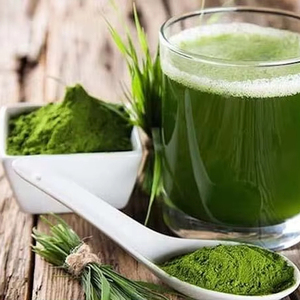 Polvo de Hoja de Cebollino Vietnamita, Grado Culinario, Fabricante a Granel, Polvo de Hoja de Cebollino Verde Seco, 20g 1.35oz 8oz Paquetes a Granel - Product Image 1