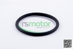 Joint torique original/OEM pour MWM RS-01181982 nouvelles pièces de moteur au gaz naturel pour moteur de machines - Product Image 3