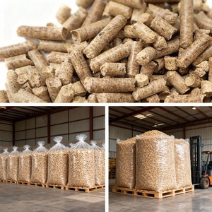 พาเลทขนาด1000กก. บรรจุพาเลทจากประเทศไทยมีขนาดจัมโบ้ - Product Image 6