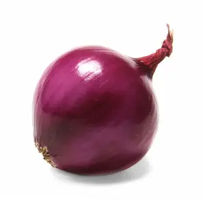 Cipolla rossa fresca biologica del raccolto fresco puro di alta qualità di qualità superba a basso prezzo di mercato