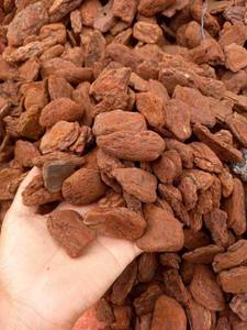 GRANDE QUANTITÉ ÉCORCE DE PIN Paillis Écorce DE PIN CHIPS POUR LA PLANTATION DÉCORATION OUT PORTE JARDIN MULCH ÉCOLOGIQUE DU VIETNAM - Product Image 2