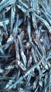 Anchoa seca pescado pequeño Vietnam alta calidad temporada embalaje personalizar mercado - Product Image 3