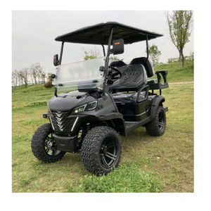 Voiturette de golf électrique homologuée pour la route, 4 places, avec système d'éclairage LED - Product Image 2