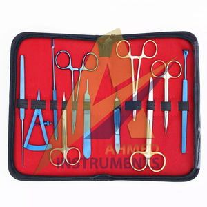 Nuevo producto de llegada Blefaroplastia Cirugía plástica Kit de instrumentos de alta calidad Juego de 11 piezas por SUAVE SURGICAL INSTRUMENTS - Product Image 1