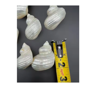 Rond de serviette coquillage Accessoire fait main écologique de Real Shell pour la conception de table rustique du Vietnam - Product Image 4