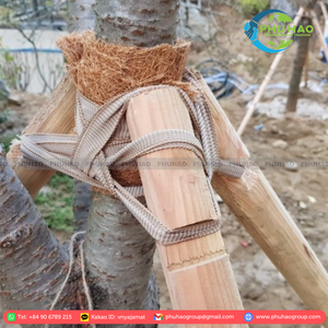 HOT PRODUCT Vietnamese <b>COIR</b> TAPE/PALM <b>MAT</b> Provides a Sustainable and Beautiful Alternative to Traditional Home Textiles - Product Image 2