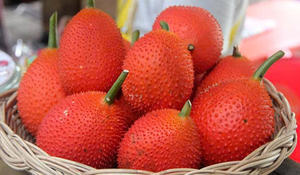 NATURAL FROZEN GAC <b>FRUIT</b> PUREE / PREMIUM QUALITY / BULK SUPPLY FOR EXPORT AND INDUSTRIAL USE - Product Image 4