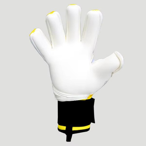 Pakistan Hi-Tech Grip allemand Latex mousse Football Football entraînement gants de gardien de but bonne qualité cuir matériel - Product Image 1
