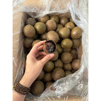 Groothandel Gedroogde Monniksfruit Premium Kwaliteit Bulkaanbod Hot Deal Topverkoop Natuurlijke Zoetstof Luo Han Guo Exportproduct