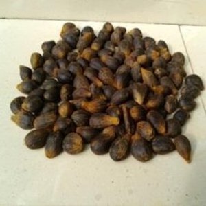 เมล็ดถั่วเมล็ดปาล์มออร์แกนิก - Product Image 5