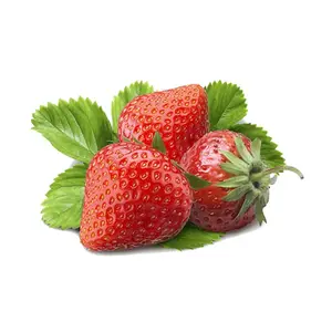 Fresas orgánicas de AUSTRIA, mejor calidad