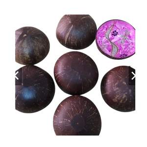 Bol en coquille de noix de coco 100% naturel, à quantité minimale de commande, personnalisé, logo poli Vietnam - Product Image 6