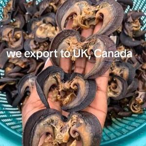 Caracoles Gigantes Africanos Secos a Granel, 100% Naturales, Picantes, Altos en Proteínas, Calidad de Exportación para Niños y Adultos - Product Image 4