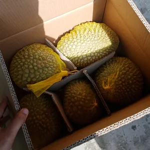 Hot Sale Delicious Taste Frozen Durian Monthong Whole Piece Fruit with Low Price Akina