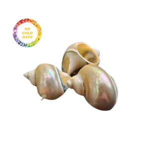 ที่ใส่ผ้าเช็ดปากเปลือกหอยทำด้วยมือเสน่ห์ของชายฝั่งสำหรับการรับประทานอาหารในชีวิตประจำวัน - Product Image 2