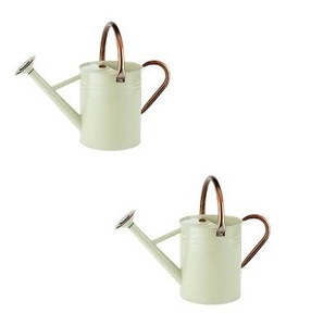 Vente en gros de bidons d'eau de luxe les plus vendus en métal de qualité supérieure (acier, fer) conception de fleurs florales personnalisées intérieur galvanisé - Product Image 6