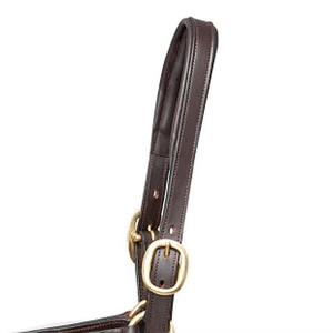 Cabestro para Caballo Confiable, Ajustable y Duradero, Diseño para Entrenamiento, Manejo en Establos y Cuidado Ecuestre Diario - Product Image 5