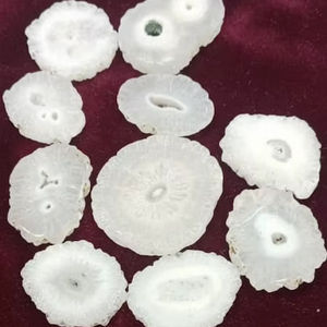 Cuentas de Coral Fósil Rosa Natural, Forma de Tambor Redondo, Fabricación India, Cabujón, Piedras Preciosas Sueltas al por Mayor, 20% de Descuento y Regalo de Año Nuevo - Product Image 3