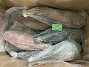 Peces Loro Entero Congelados Pescado Marisco Venta Envasado al Vacío IQF Origen de Vietnam - Product Image 5