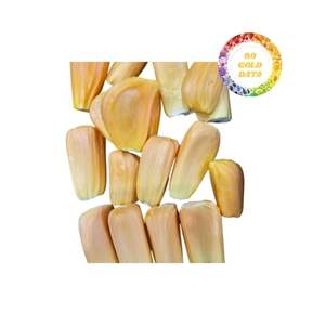 ขนุนแช่แข็งจากเวียดนามให้ความหวานตามธรรมชาติรสชาติอร่อยและคุณภาพที่เชื่อถือได้ในราคาไม่แพง - Product Image 4