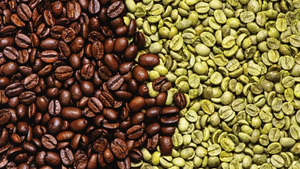 เมล็ดกาแฟเขียวที่ผ่านกระบวนการธรรมชาติ |   เมล็ดกาแฟพรีเมียมแบบยังไม่ผ่านการคั่ว บรรจุในภาชนะสุญญากาศ |   ขายส่งจำนวนมาก |   ปาร์ตี้ครัวส่งออก - Product Image 2