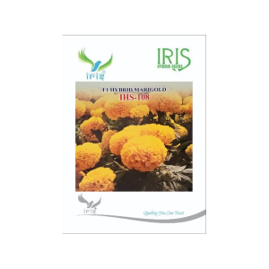 Graines de fleurs de marigold jaunes hybrides IRIS F1 séchées IHS-108 Hybrides 100 graines Inde - Product Image 2