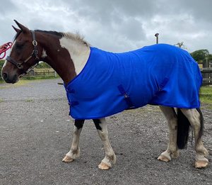 Manta para Caballo de Invierno 2025, Moderna, Resistente al Agua, Transpirable, Personalizable, Cómoda y Duradera, para Uso Ecuestre y de Doma - Product Image 4
