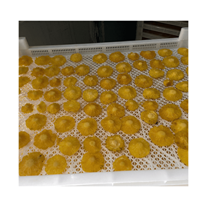 น้ำเชื่อมข้อมูล99โกลด์ขนมสับปะรดหั่นบางๆที่เก็บรักษาไว้แพ็คสุญญากาศรสหวานและเปรี้ยวสำหรับของหวานและขนมอบส่งออกจากเวียดนาม - Product Image 4