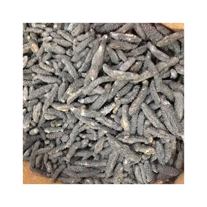 ปลิงทะเลปลอดสารพิษและผ่านการรับรอง/ปลิงทะเลแห้งแบบเม็กซิกัน - Product Image 6