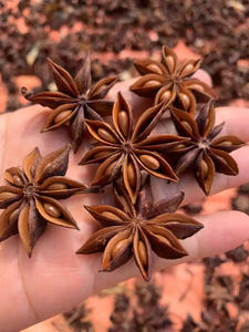 Vente en gros des meilleures herbes et épices vietnamiennes nouvelle récolte d'automne anis étoilé séché biologique // M. Pierre Luu - Product Image 2