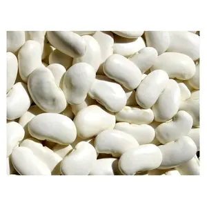 Hot Selling Good Quality Healthy Long White Sugar Bean Dry White Kidney Beans Natural