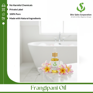 Huile de frangipanier de qualité supérieure pour solution de parfum industrielle, création de produits de beauté, sourcing professionnel d'ingrédients aromatiques - Product Image 2