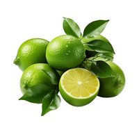 Verse groene citroen zonder pit uit Vietnam, merk VIOT, hoge kwaliteit, premium gezonde citrusvrucht, 6cm, 100g, 12 maanden houdbaarheid