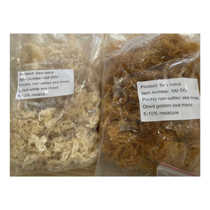 Algues séchées de mousse de mer blanche Eucheuma Cottonii du Vietnam pour les mélanges de smoothie gel de mousse de mer et les plats de salade d'algues traditionnelles - Product Image 3