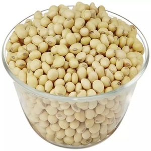 Graines de soja jaunes naturelles de qualité supérieure 100% sans OGM, séchées en vrac, de haute qualité, origine Ukraine - Product Image 2