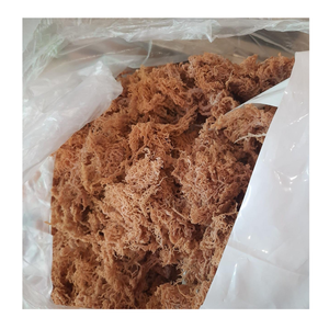 สาหร่ายธรรมชาติจากเวียดนามมอสทะเลแห้งสำหรับอาหารพร้อมส่งตอนนี้มอสทะเลแห้งบริสุทธิ์ - Product Image 3