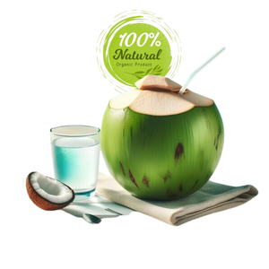 Productos agrícolas de cocos frescos vietnamitas de alta calidad para distribución global - Product Image 4