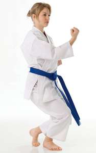 Uniforme de Karate con Logotipo Personalizado al por Mayor OEM 2026, Ropa de Artes Marciales Estampada, Traje de Karate para la Venta - Product Image 2