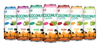 Vietnam NPV Brand Kokoswater 500ml Aluminiumblik Gesteriliseerd Versgeperst Puur 6 Brix 24 Maanden Houdbaarheid Lage MOQ Groothandel