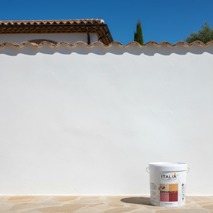 Rivestimento Acrilico Silossano Anti-Alghe 1,2 kg, Formato da 25 kg, Confezione da 1 per Materiali Impermeabilizzanti - Product Image 2