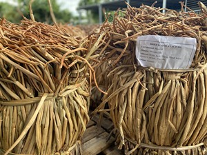 Material de jacinto de agua cruda más vendido, materia prima de jacinto de agua seca para hacer cesta de Vietnam - Product Image 3