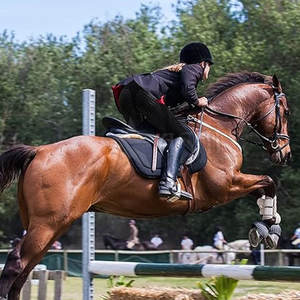 กางเกงขี่ม้าเอวสูงและเลกกิ้งของผู้หญิงเสื้อผ้าสำหรับขี่ม้าแบบสั่งทำ - Product Image 6