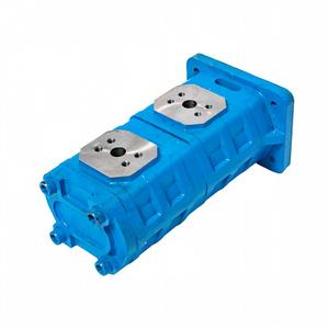 803013093 J2100 0010 Pompe de direction double tandem - Product Image 2
