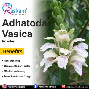 Raskam, Proveedor Directo de Fábrica, Adhatoda Vasica, Suplemento Alimenticio en Polvo Sin Gluten para Adultos - Product Image 2