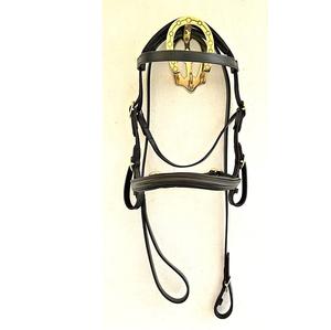 Brida Horse Mini Shetland Inhand Leather Show con rienda de plomo en negro o marrón - Product Image 1