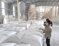 Bubuk Kalsium Karbonat Super Halus untuk Industri Cat Asal Vietnam |   Grup SHC