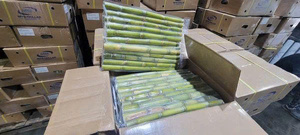Palitos de caña de azúcar congelados listos para extraer, grado premium para tiendas de jugos de alto volumen y uso en servicios de alimentos - Product Image 4