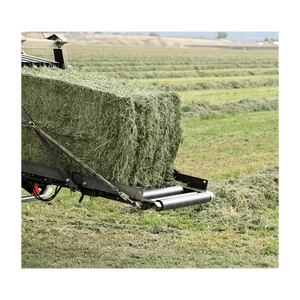 Foin d'herbe de Rhodes en vente à des prix de gros compétitifs pour les acheteurs d'aliments pour bétail - Product Image 6